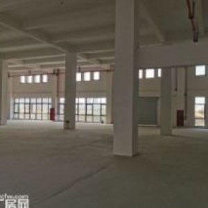 新松机器人产业园5000平厂房招商，高度7.2米，厂房内利用