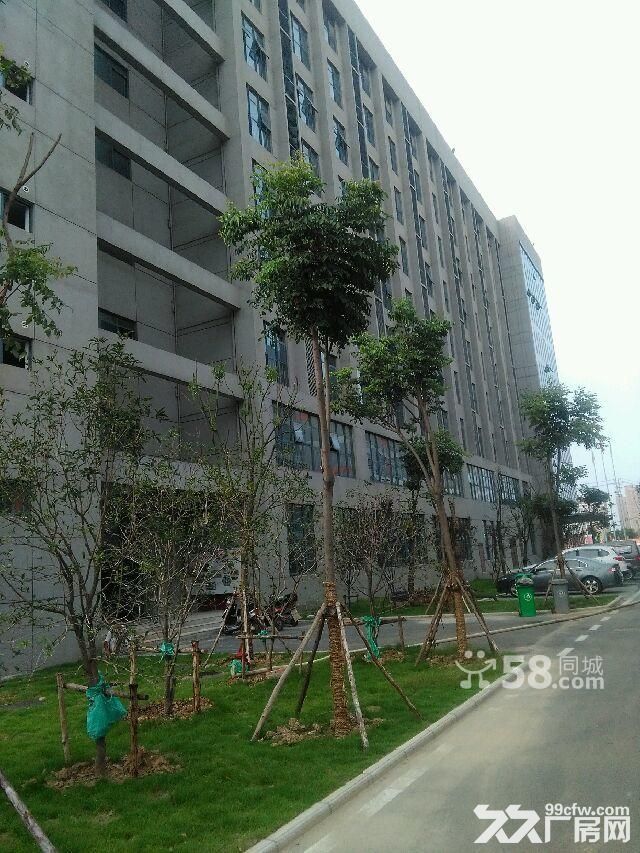 颖泉经开区，青年电子商务产业园，仓储、厂房、写字楼火热招租，免费停车-图2