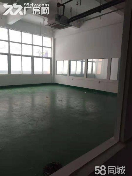 颖泉经开区，青年电子商务产业园，仓储、厂房、写字楼火热招租，免费停车-图5