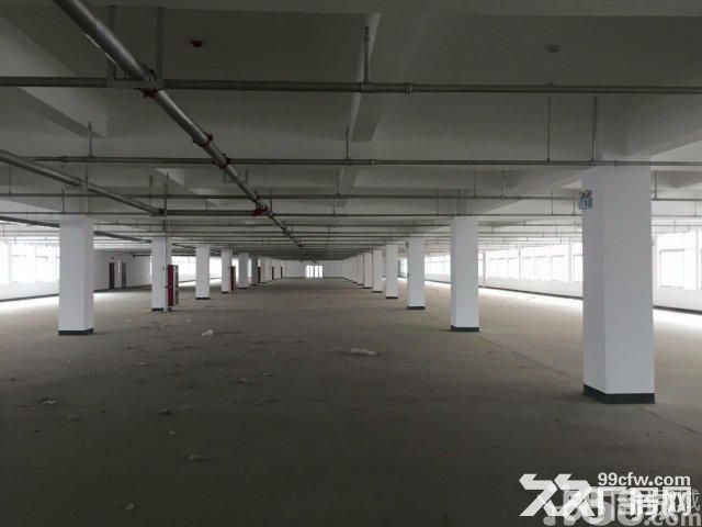 青网科技园，仓储、厂房、写字楼-图5