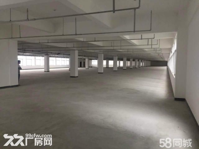 政府出资建设，仓储，厂房写字楼
