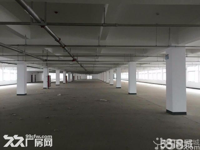 颖泉经开区，仓储，厂房，写字楼火热招租-图6