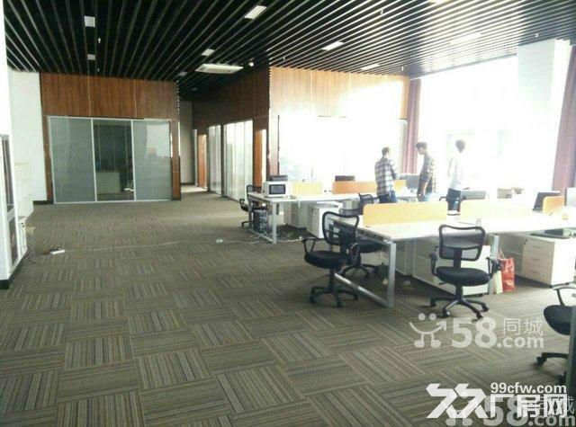 305平办公地点对外出租-图4