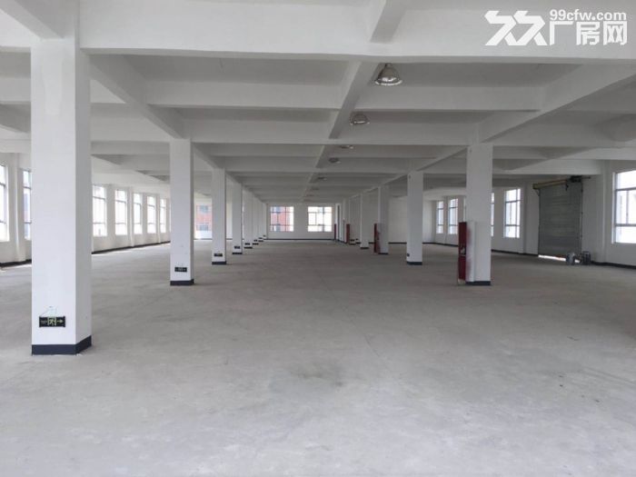 政府项目皖北最大的电商产业园各种户型的厂房写字楼招租-图4
