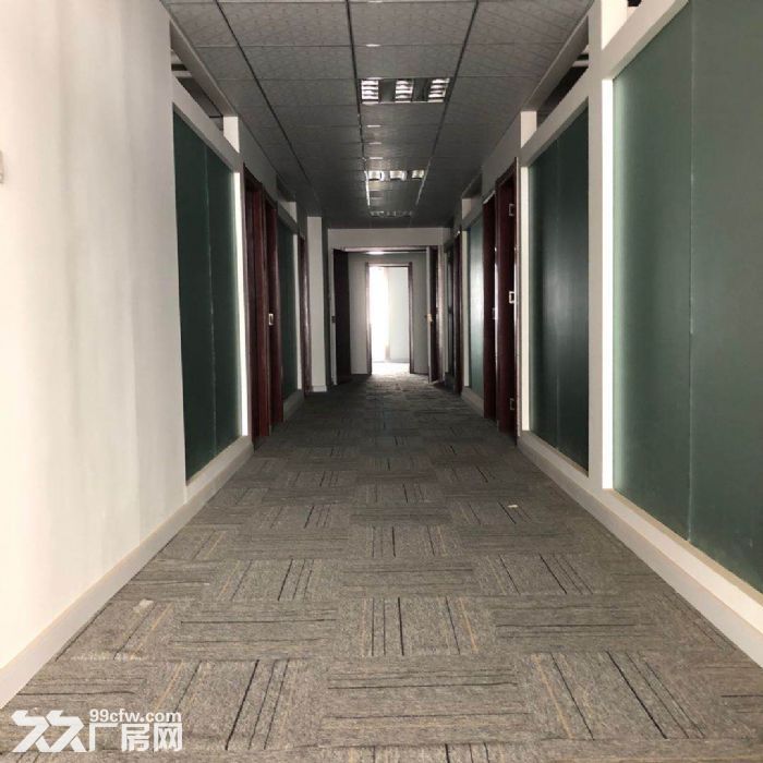 阜阳颖泉经开区青年电子商务产业园，写字楼办公、仓储、厂房、火热招租非中介-图2