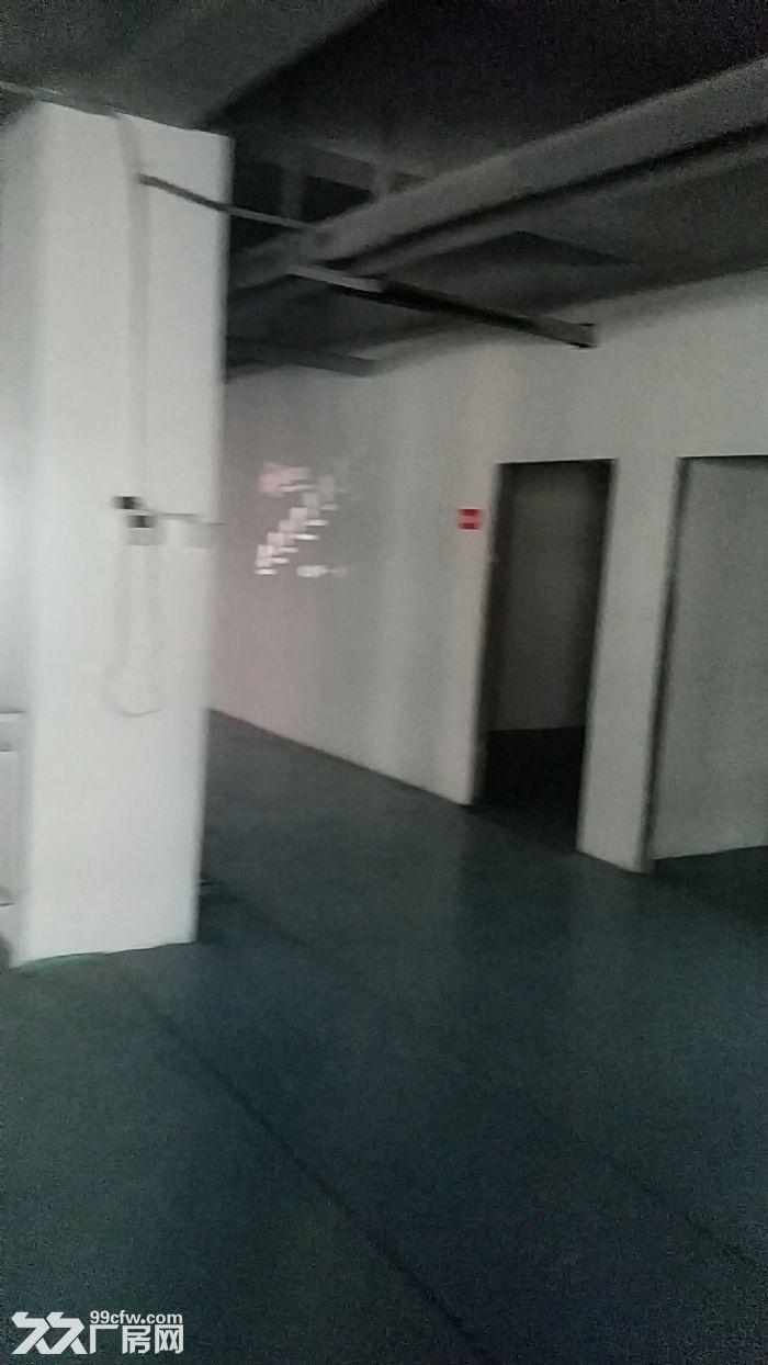 火热出租写字楼厂房 仓储办公可做直播-图2