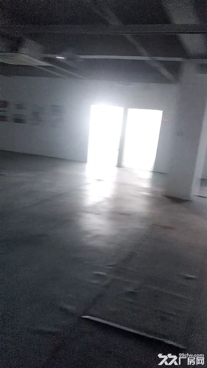 火热出租写字楼厂房 仓储办公可做直播-图3