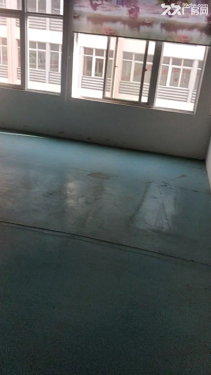 火热出租写字楼厂房 仓储办公可做直播-图7