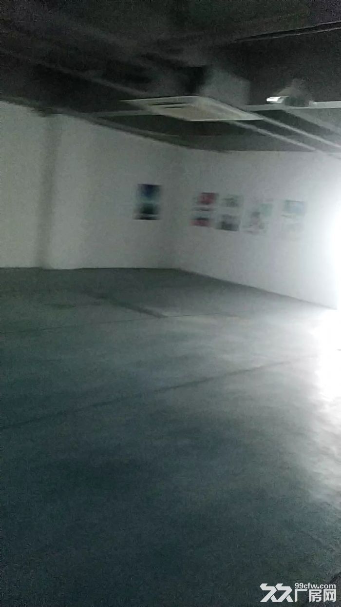 火热出租写字楼厂房 仓储办公可做直播-图4