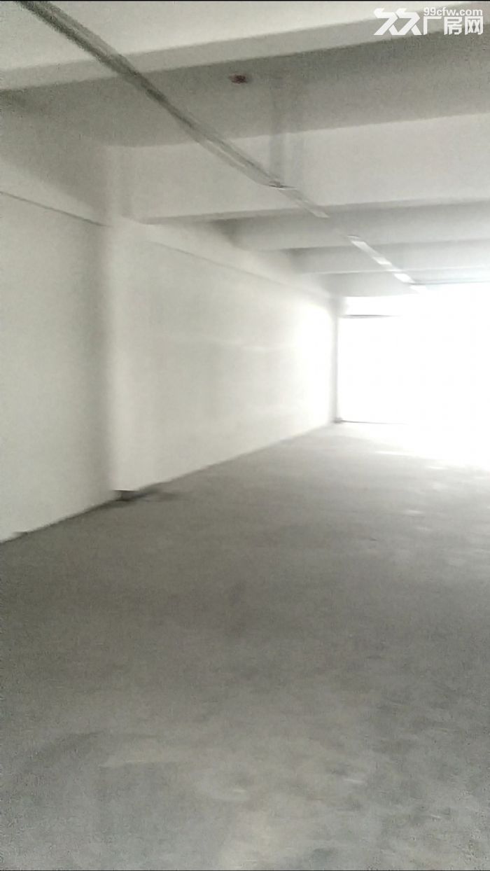 园区直招适合服务业轻工业办公+仓储90至3600-图2