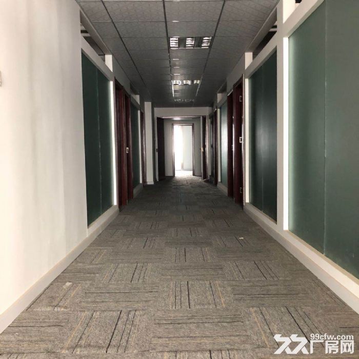 火热直租青网写字楼仓储 厂房非中介-图2