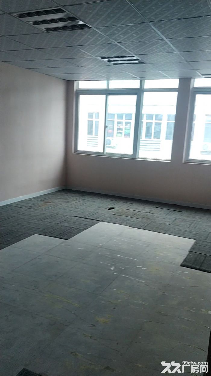 火热直租青网写字楼仓储 厂房非中介-图6