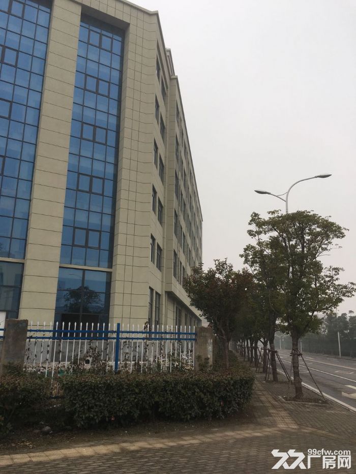 阜阳市颍州开发区20000方厂房出租-图2