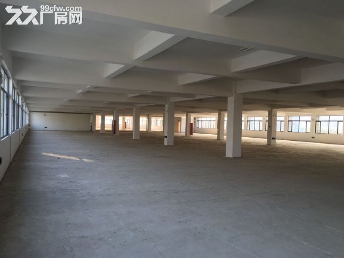 阜阳市颍州开发区20000方厂房出租-图3