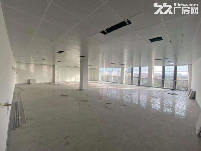 出租园区 政府产权 精装交付 办公 直播 存储 电商-图2