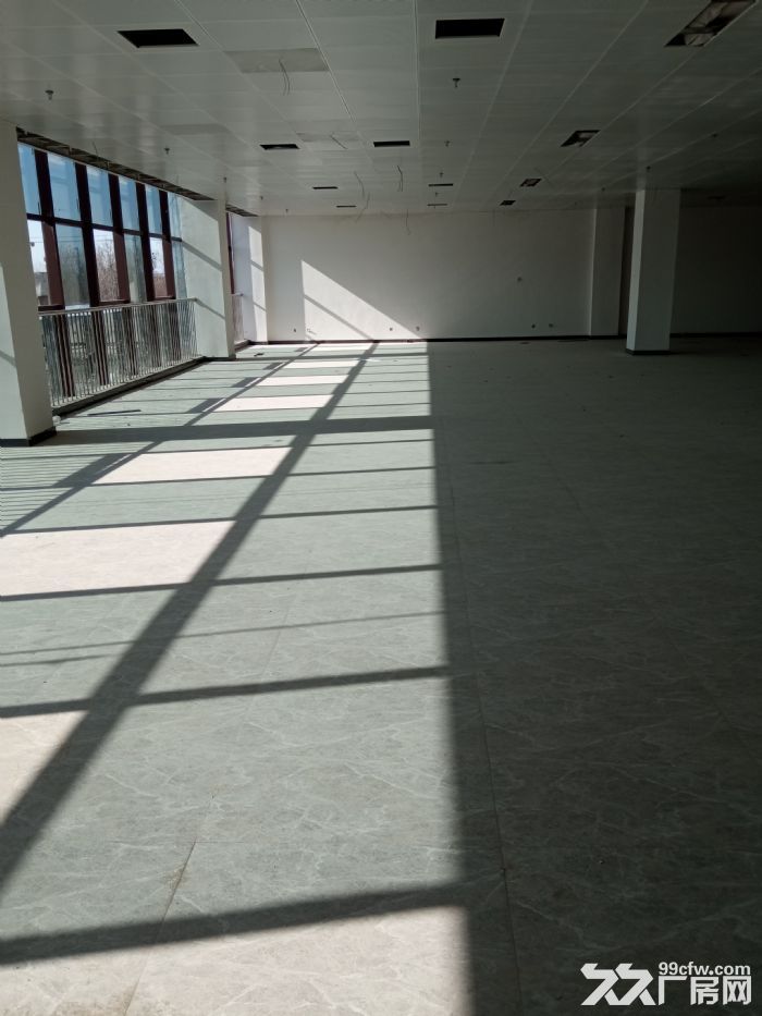 出租园区 政府产权 精装交付 办公 直播 存储 电商-图3