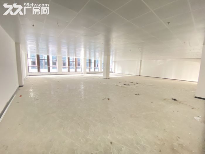 太和厂房出租 适合存储 物流 电商 办公