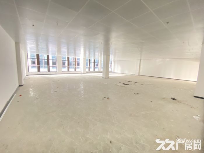 太和厂房出租 适合存储 物流 电商 办公-图2