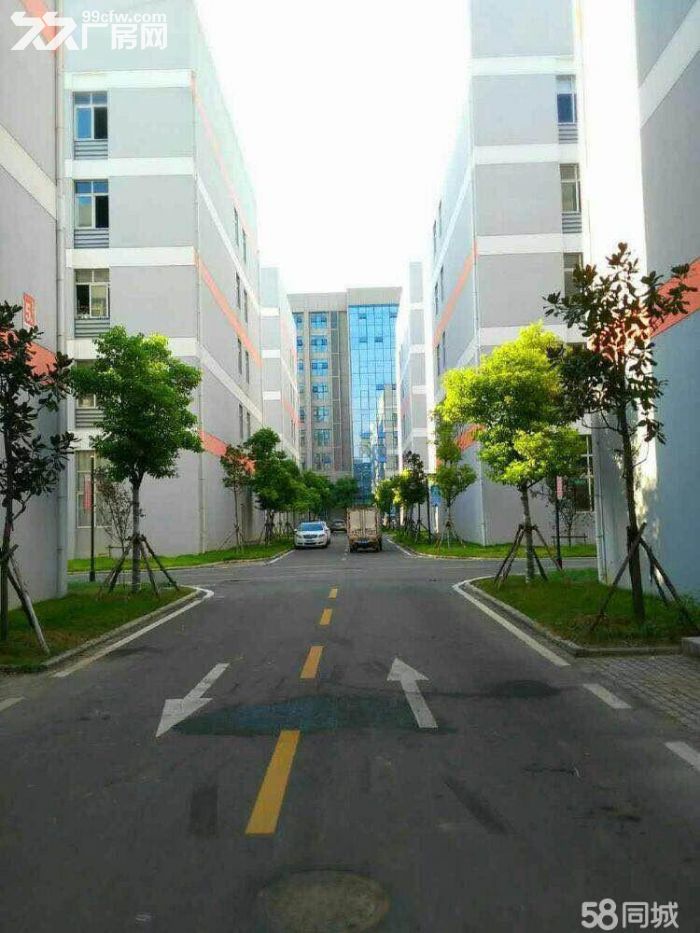 阜阳青网科技园厂房出租配套齐全政策优惠-图4