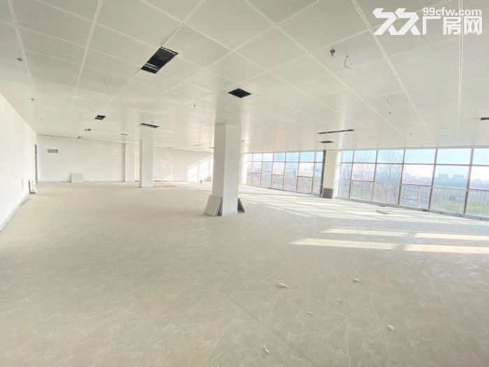 适合存储 办公 电商带货-图4